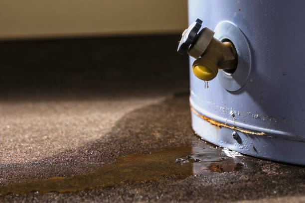 Best 24-hour water damage restoration  in New London, OH
