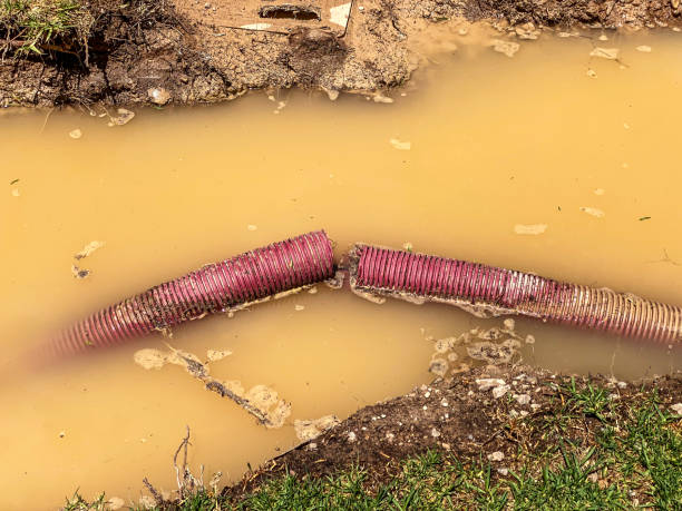 Best Water damage contractors near me  in New London, OH