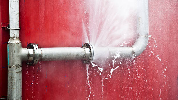 Best Local water damage restoration  in New London, OH